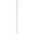 Mint Green Striped Paper Straws with Eco-Flex® Technology