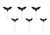 Black Bat Cupcake Decorations