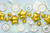 Blue Baby Whale Dessert Plates