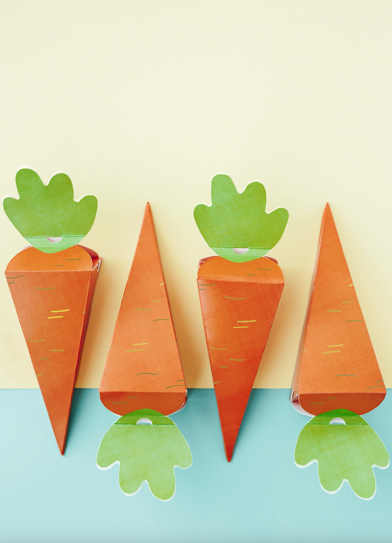 Carrot Treat Boxes