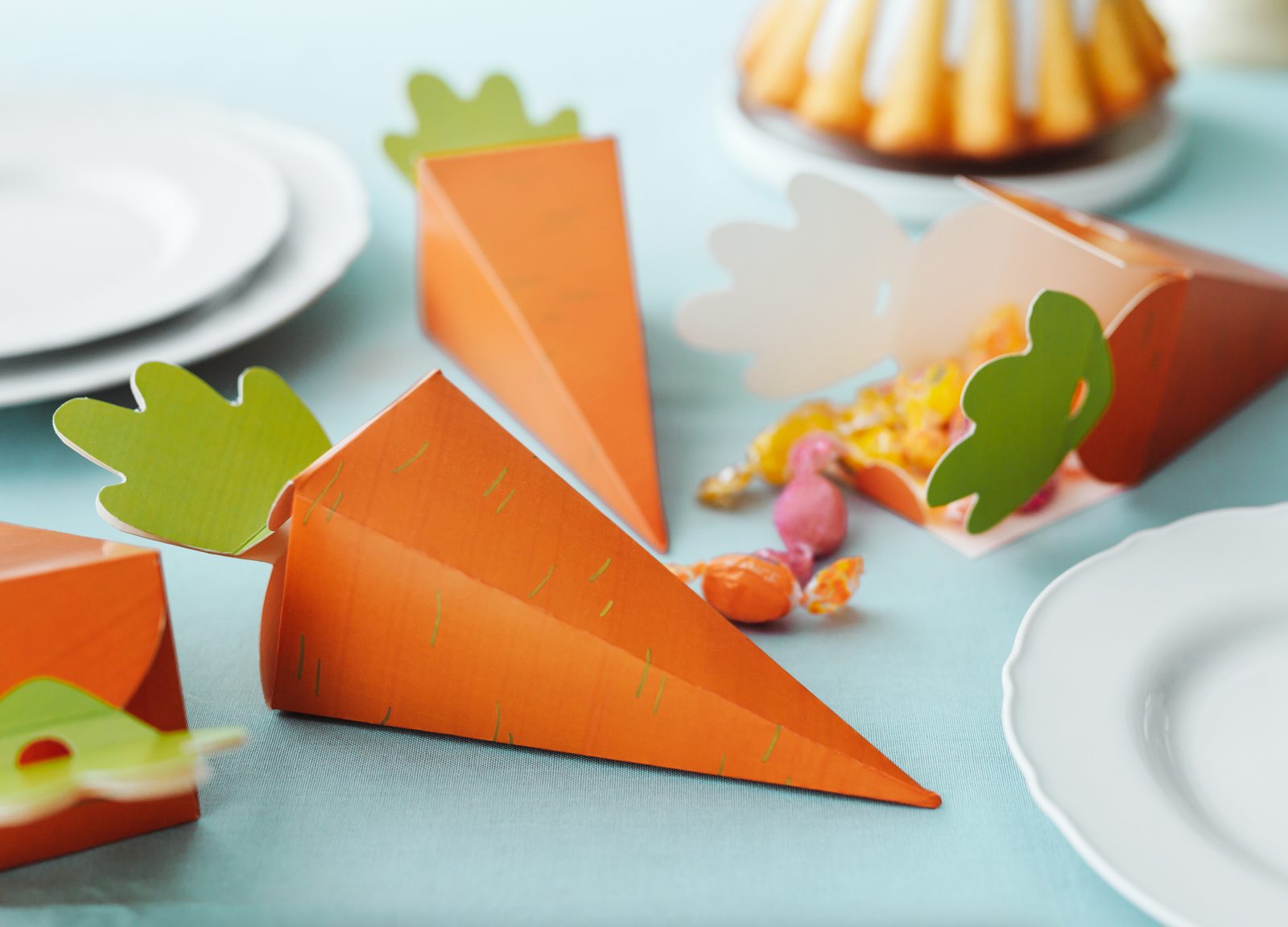 Carrot Treat Boxes