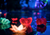Floating Lotus Lanterns