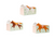 Floral Pony Treat Boxes