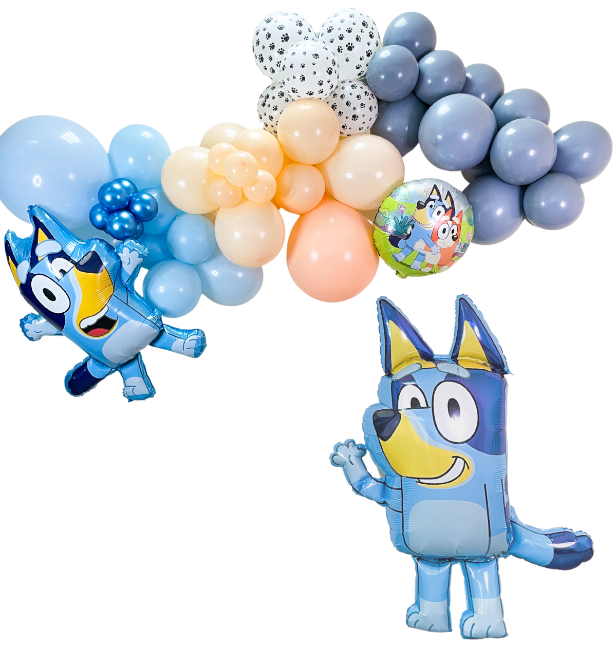 Bluey Balloon Garland