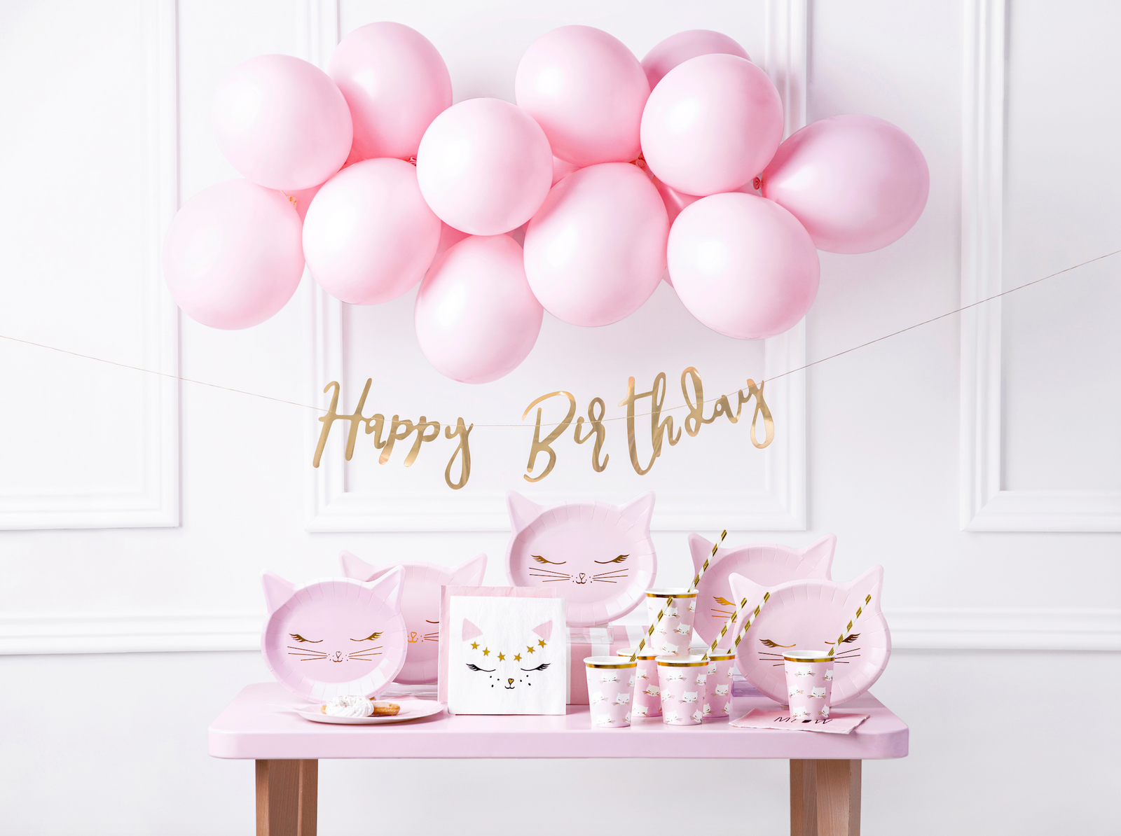 Kitty Cat Party Decoration Kit