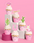 Cowgirl Cupcake Toppers