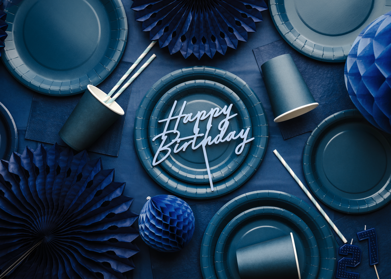Navy Blue Paper Plates