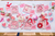 Pink & Red Velvet Clip-on Bow Set