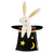 Bunny In Hat Shaped Plates
