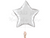 34” Silver 5point star