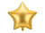 Matte Gold Star Balloon