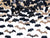 Halloween Bats Confetti