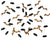 Halloween Bats Confetti