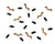 Halloween Bats Confetti