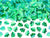 Metallic Green Monstera Leaves Confetti