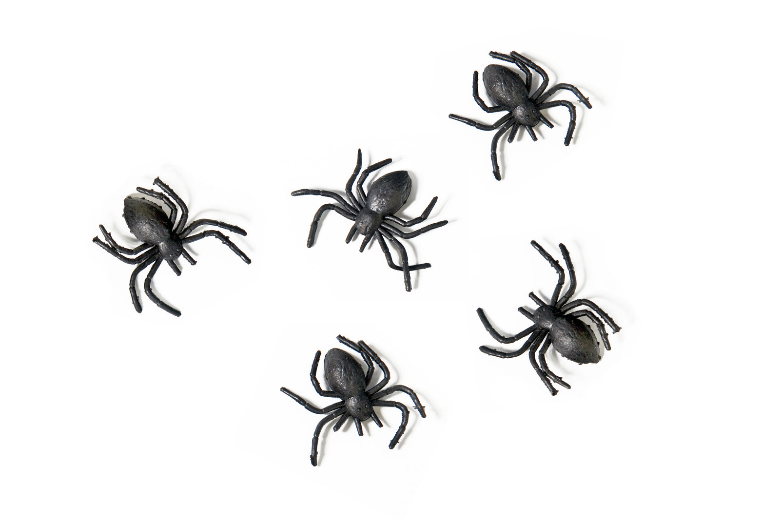 Black Halloween Spiders