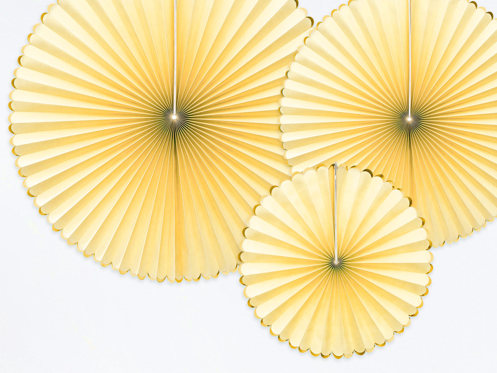 Light Yellow Luxe Fan Rosettes