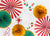Mix Decorative Party Fans