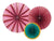 Burgundy Decorative Party Fans