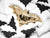 Black Bat Halloween Party Napkins