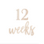 Wooden Pregnancy & Baby Milestone Signs