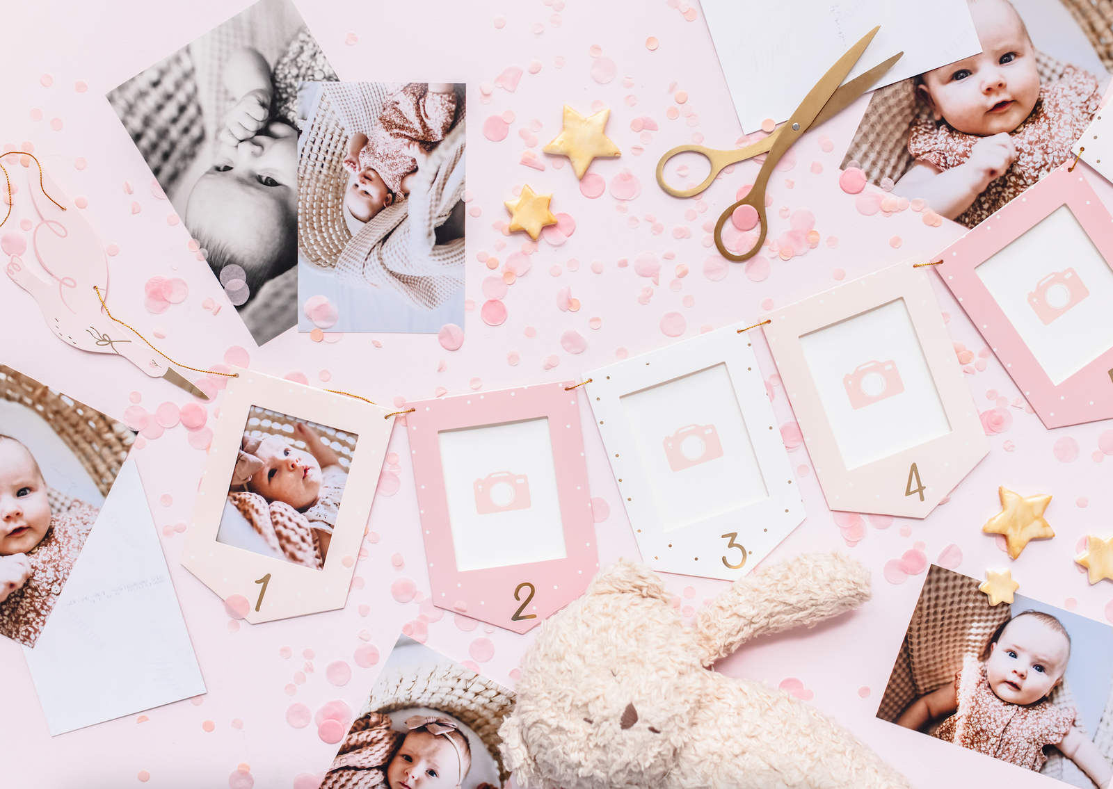 Stork Photo Frame Garland