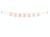 Light Pink Oh Baby Banner with Tassels