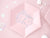 Light Pink Party Paper Plates
