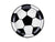 Football Champions Party Plates