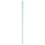 Mint Green Striped Paper Straws with Eco-Flex® Technology