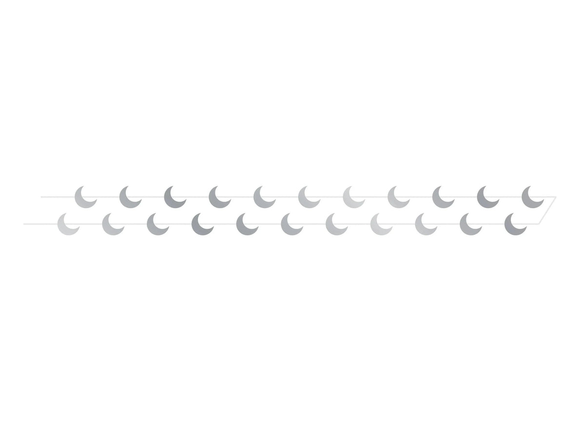 Starry Night Foil Moon Party Garland
