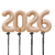 Caramel Year Number Balloon Set