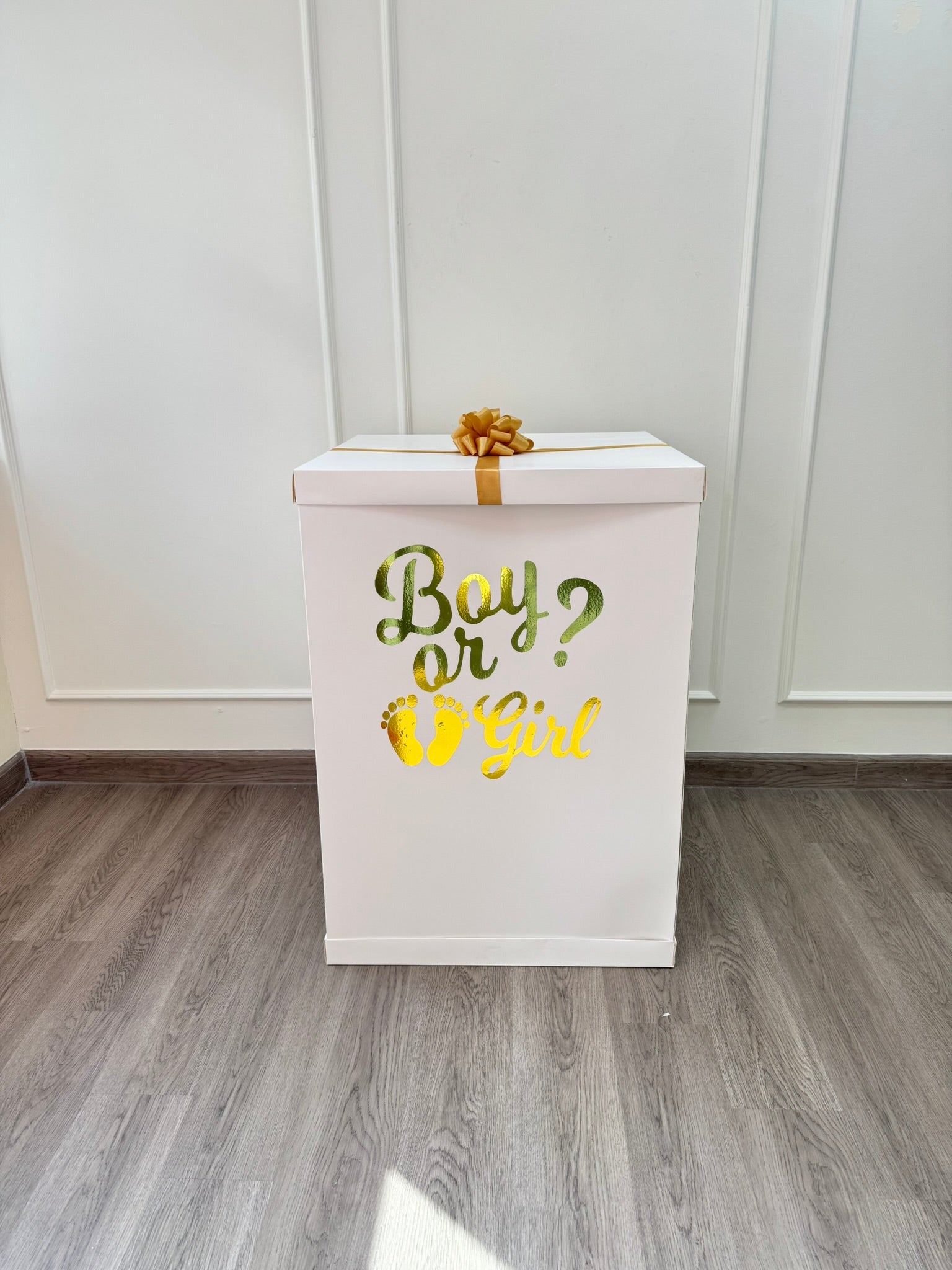 Gender Reveal Surprise Box