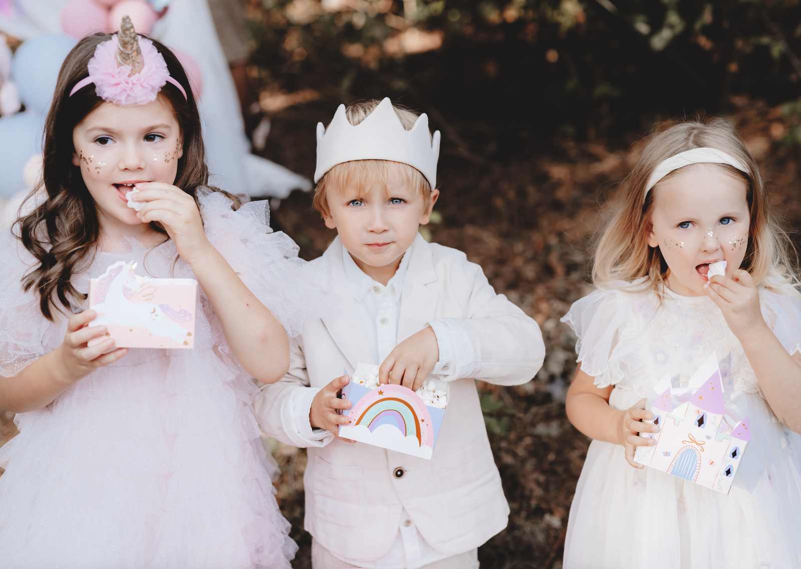Castle and Unicorns Snack Boxes