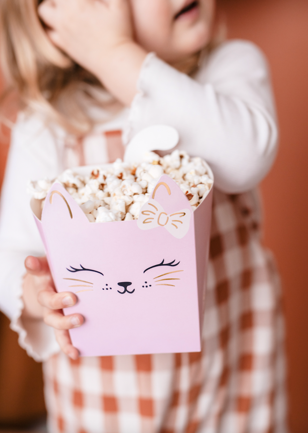 Cat Snack Favor Boxes