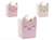 Cat Snack Favor Boxes