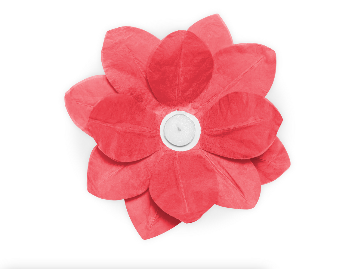 Floating Lotus Lanterns