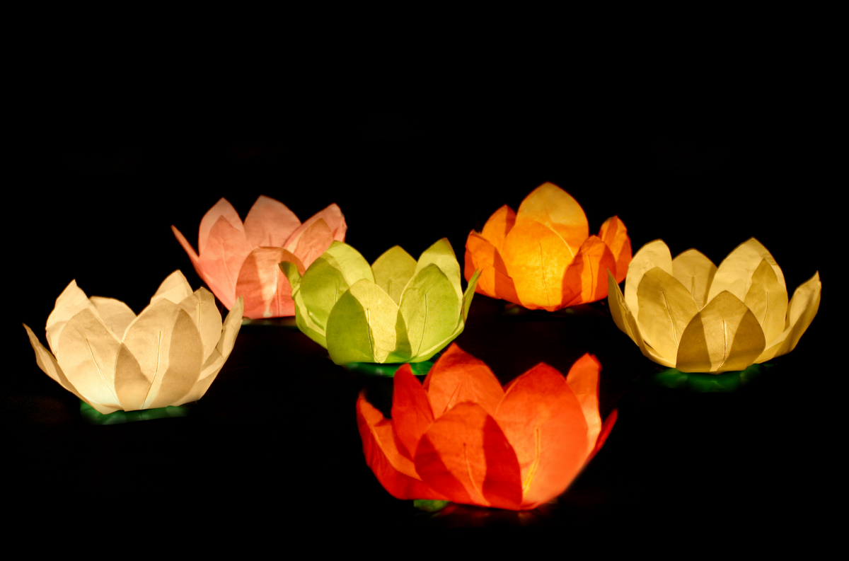 Floating Lotus Lanterns