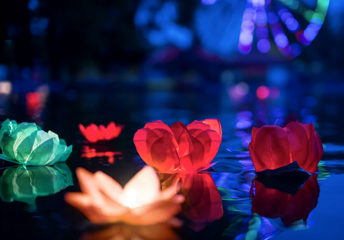 Floating Lotus Lanterns