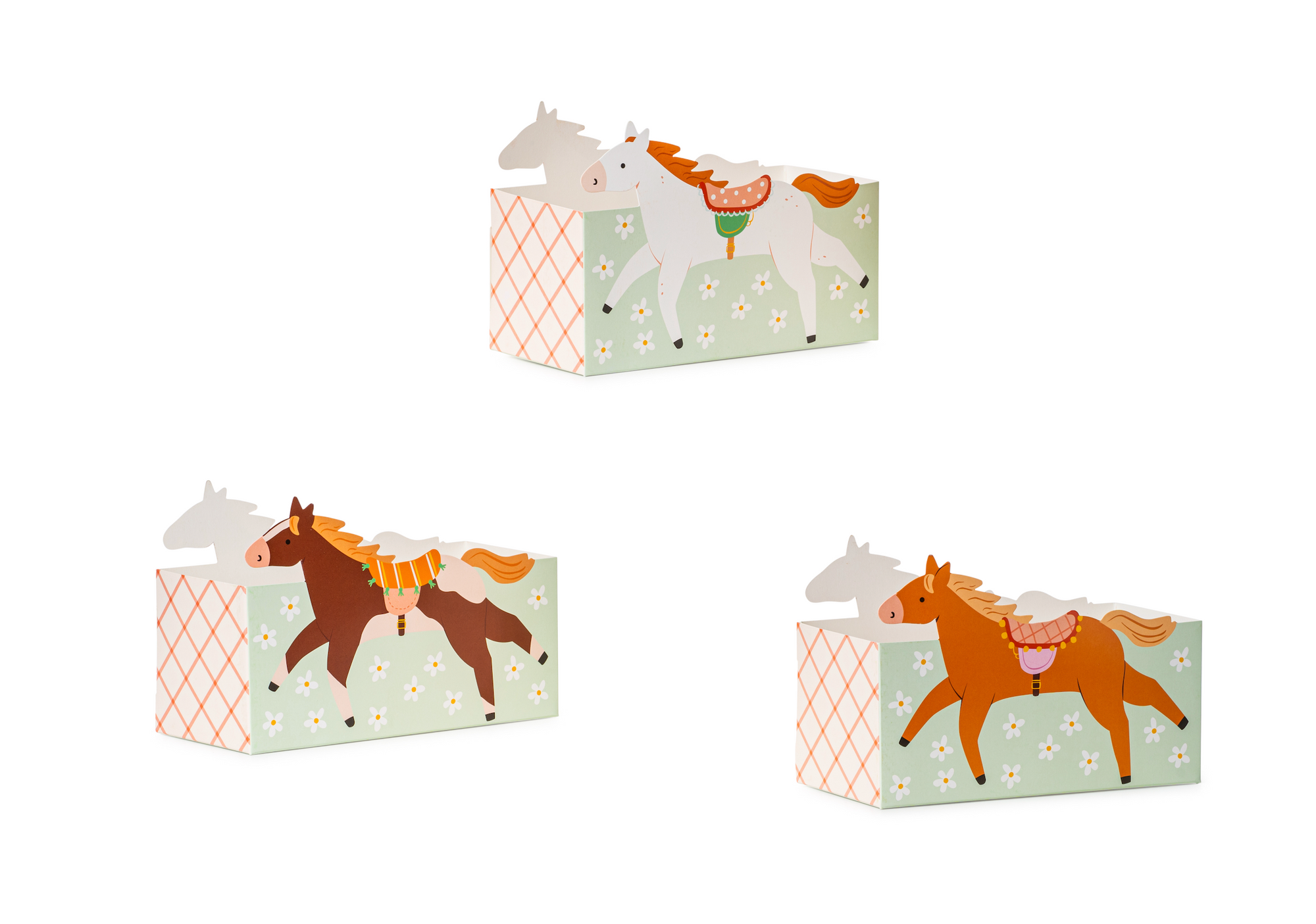 Floral Pony Treat Boxes 