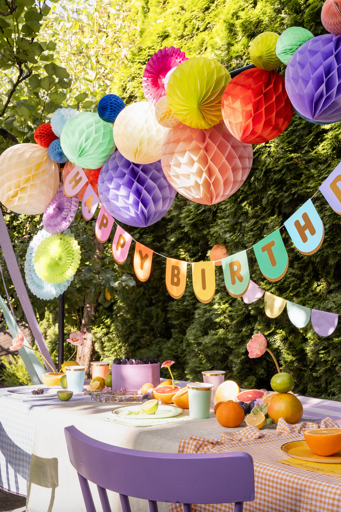 Happy Birthday Party Banner