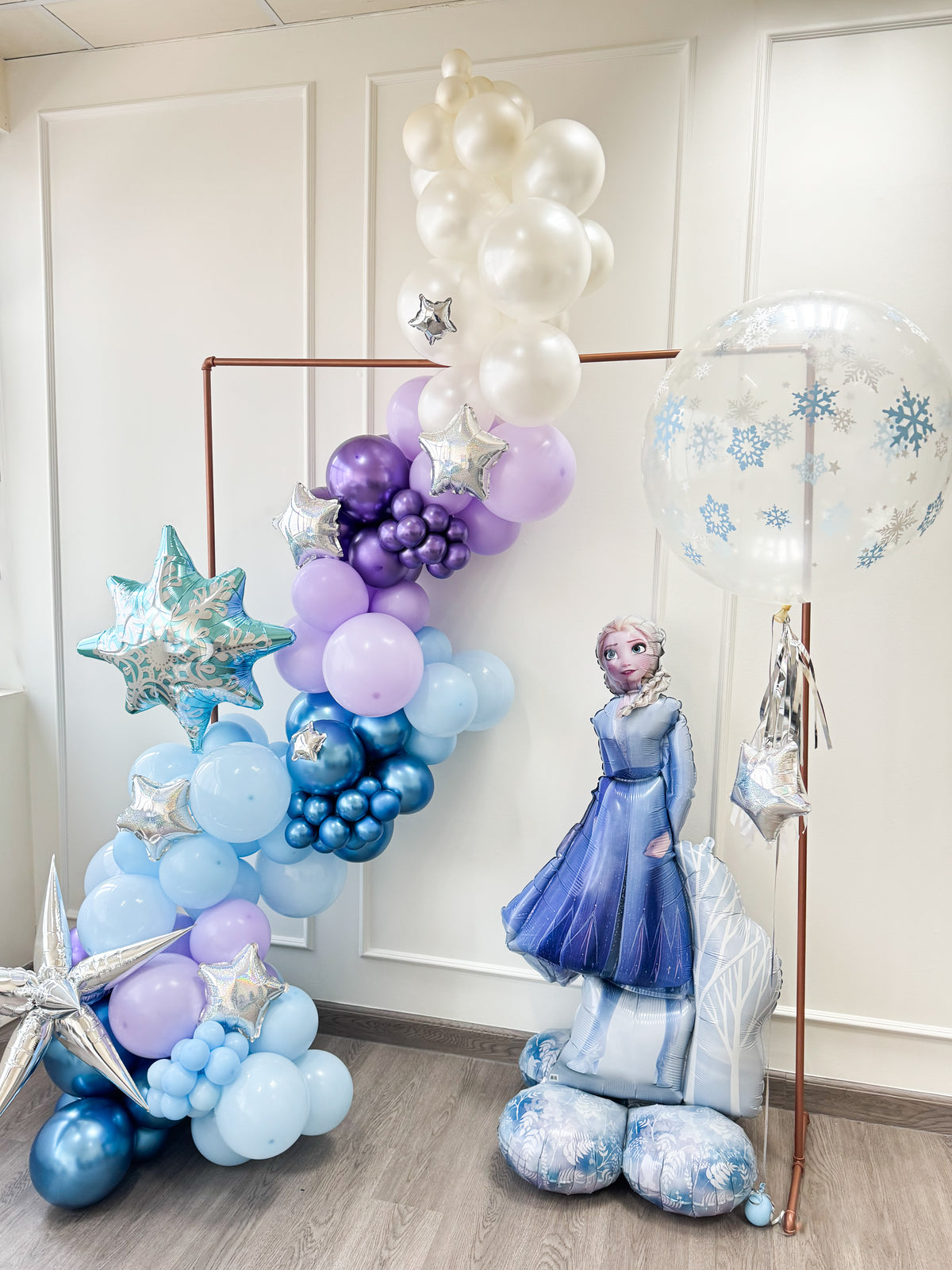 Frozen Theme Balloons Set