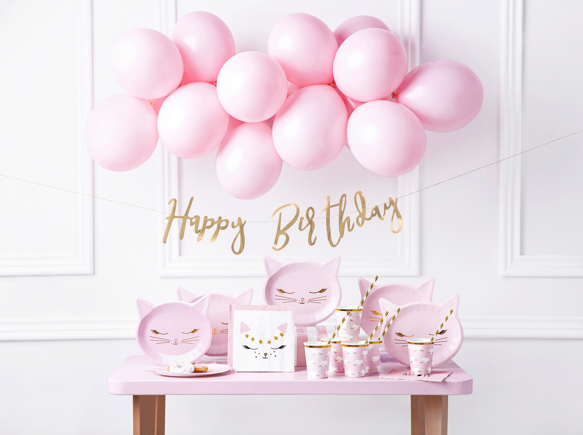 Kitty Cat Party Decoration Kit