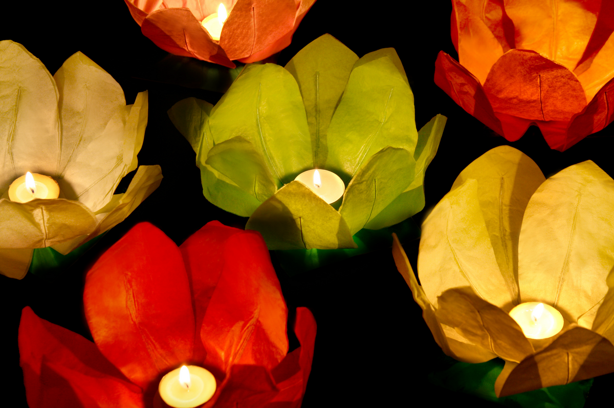 Floating Lotus Lanterns