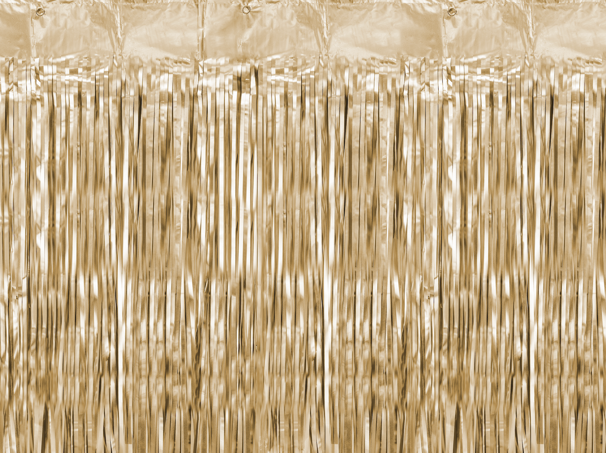 Metallic Gold Fringe Curtain