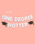 Graduation-themed party setup with 'ONE DEGREE HOTTER' banner on a pink background