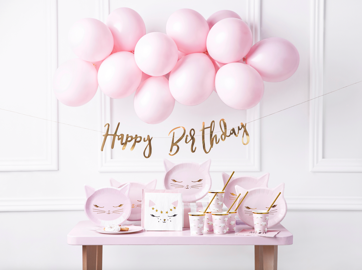 Pink Kitty Cat Lunch Plates