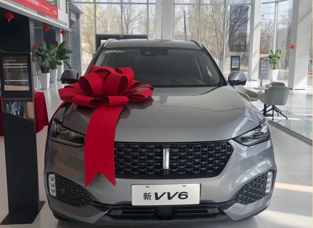 Red Giant Car Bow with Tails