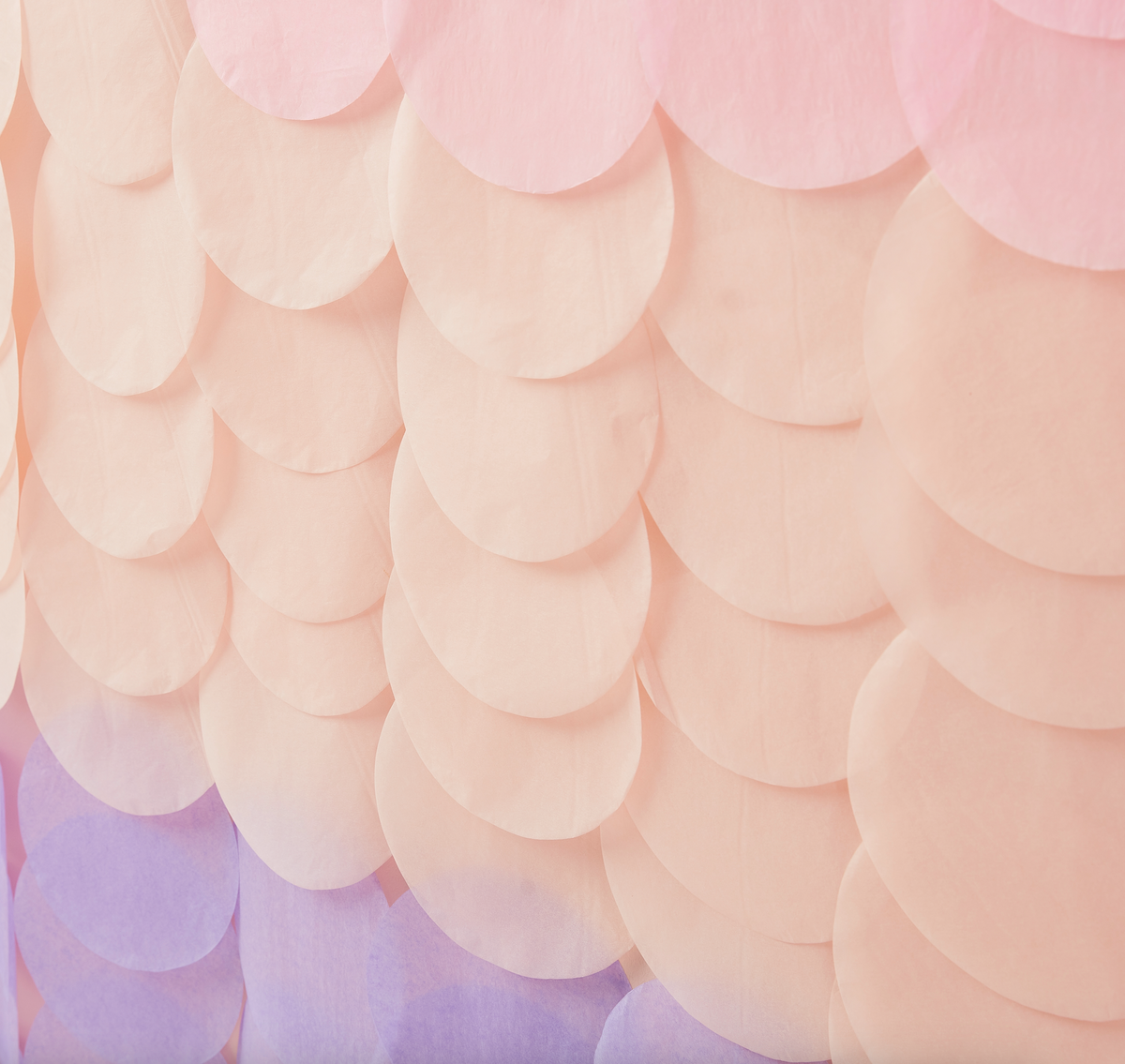Pink and Lilac Tissue Paper Disc Party Backdrop