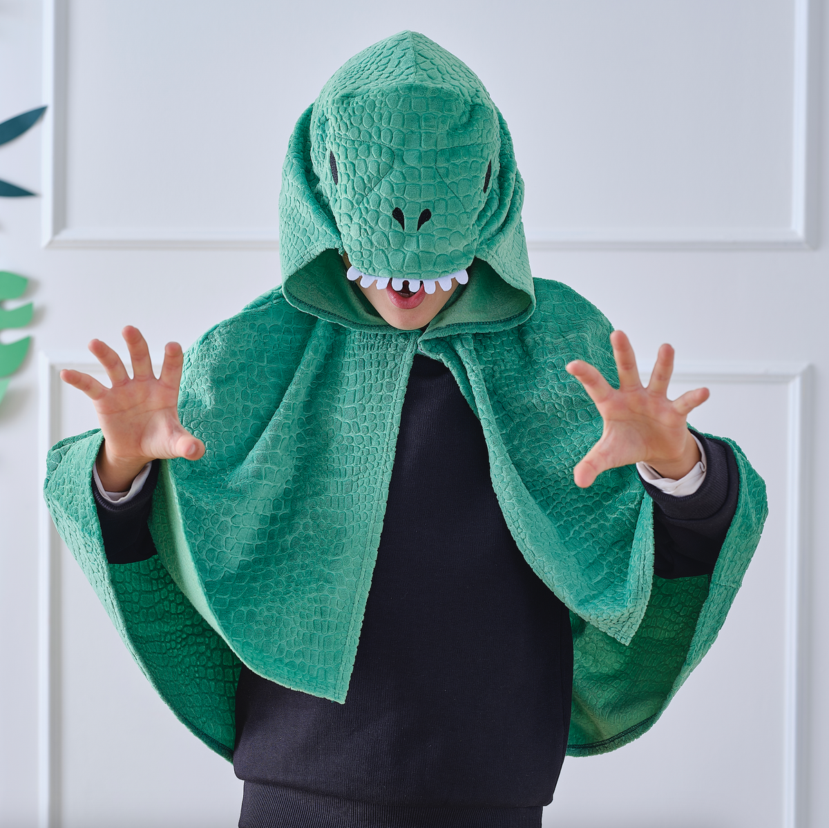 Green Dinosaur Costume Cape